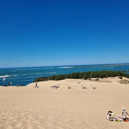 En Plein Coeur Du Bassin D'arcachon